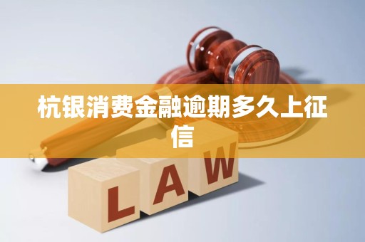 杭銀消費金融逾期多久上征信？全面解析企業征信服務