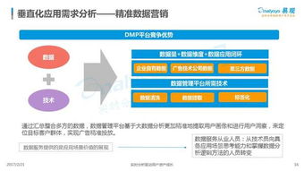 中國(guó)數(shù)據(jù)即服務(wù)（DaaS）市場(chǎng)專(zhuān)題分析 數(shù)據(jù)處理服務(wù)的現(xiàn)狀與未來(lái)